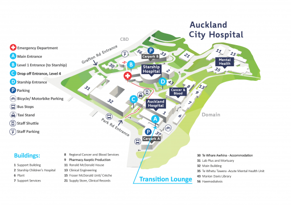 Auckland Hospital Map